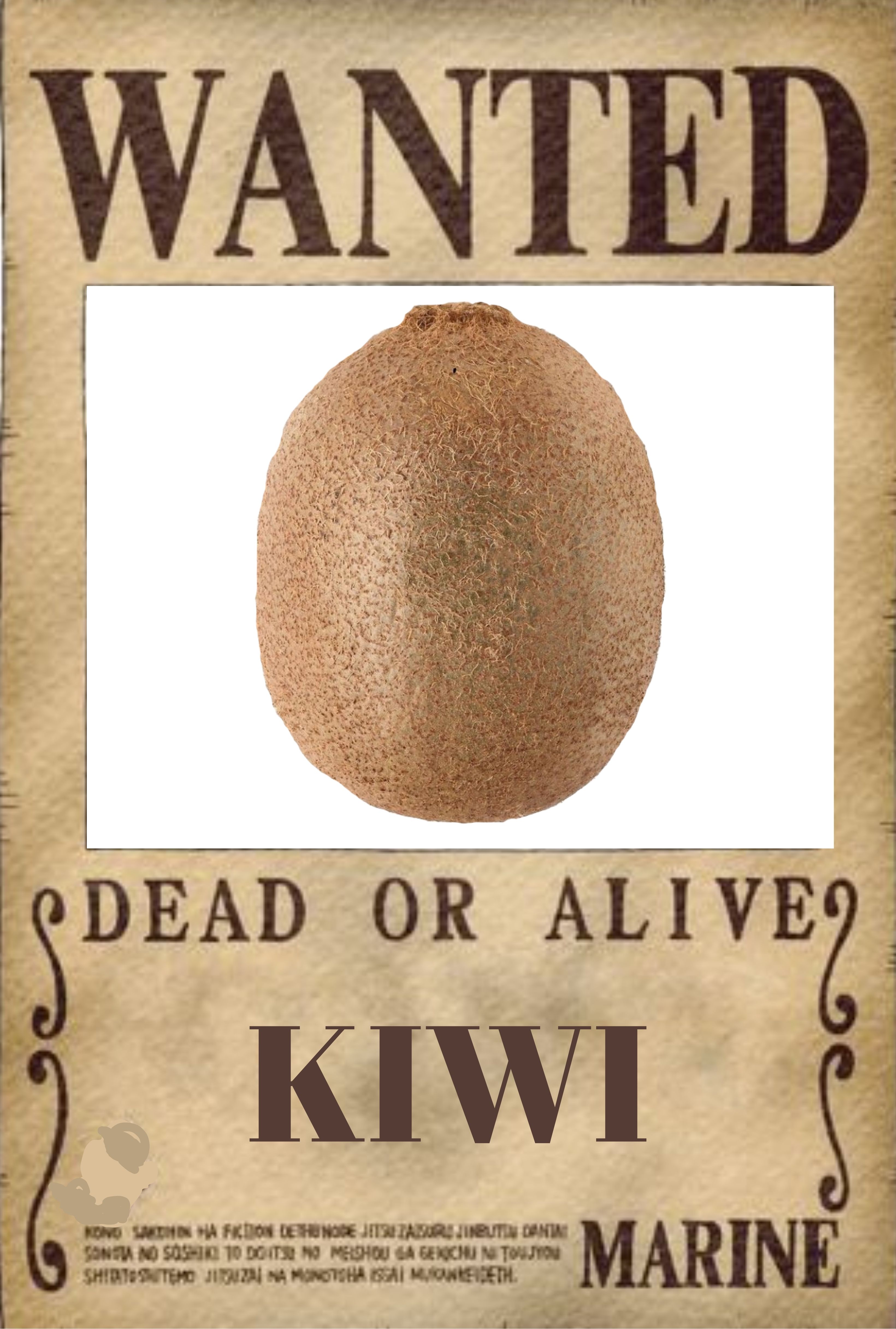 Kiwi 104