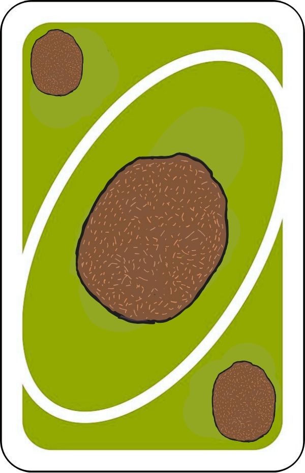 Kiwi 98